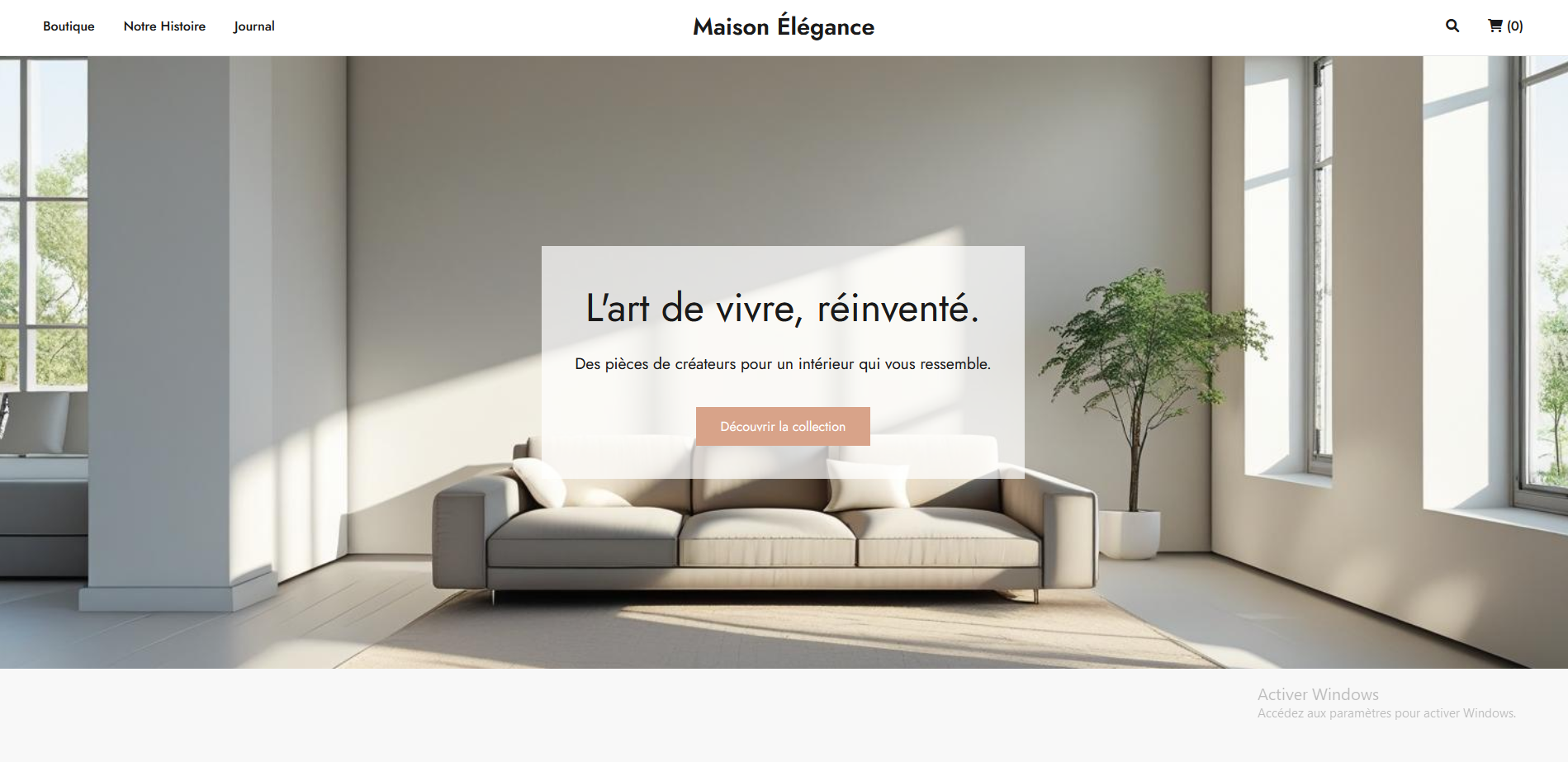 Aperçu du site e-commerce